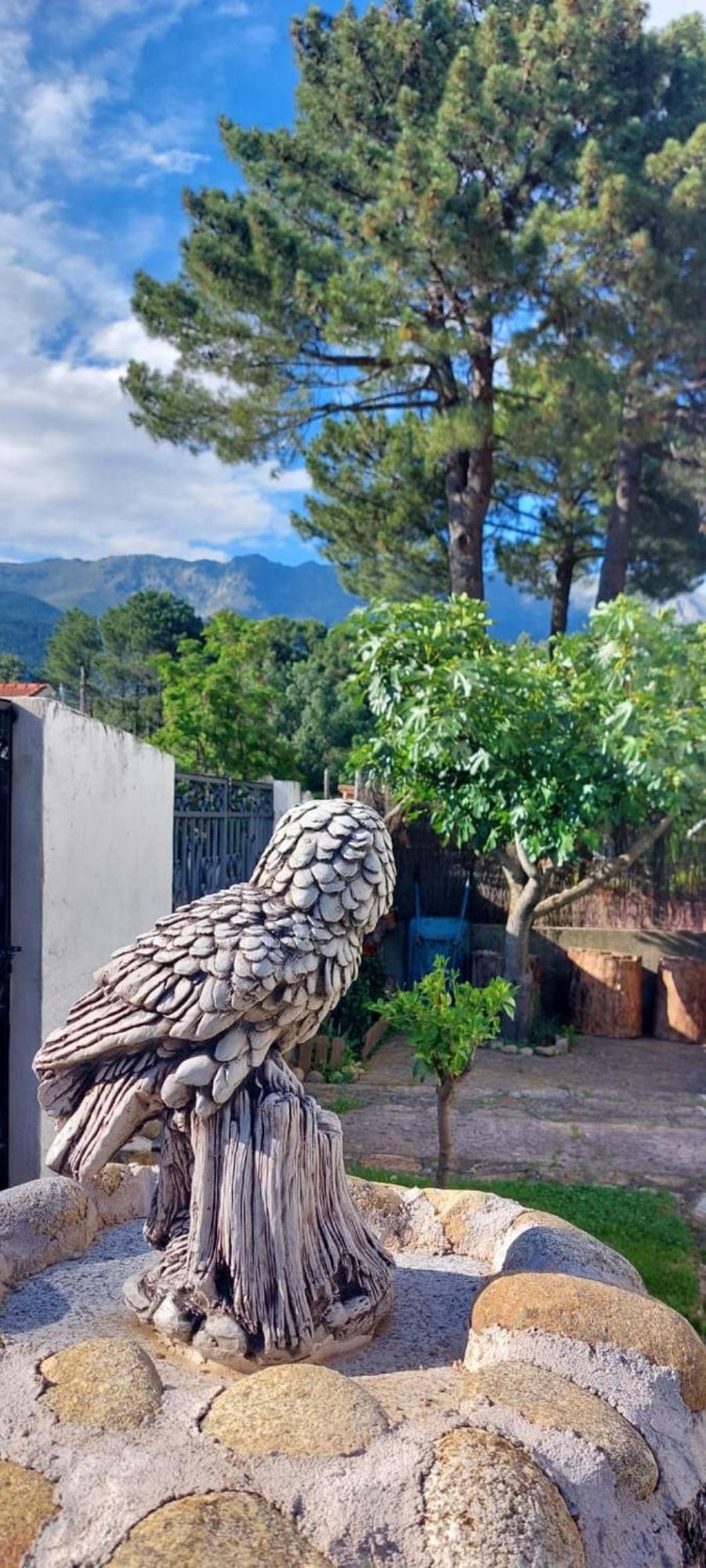 La Lechuza Blanca Villa Casavieja Eksteriør billede